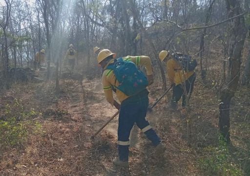 Incendios forestales se registraron en diversos sectores del estado de Oaxaca y ya est&aacute;n siendo controlados
