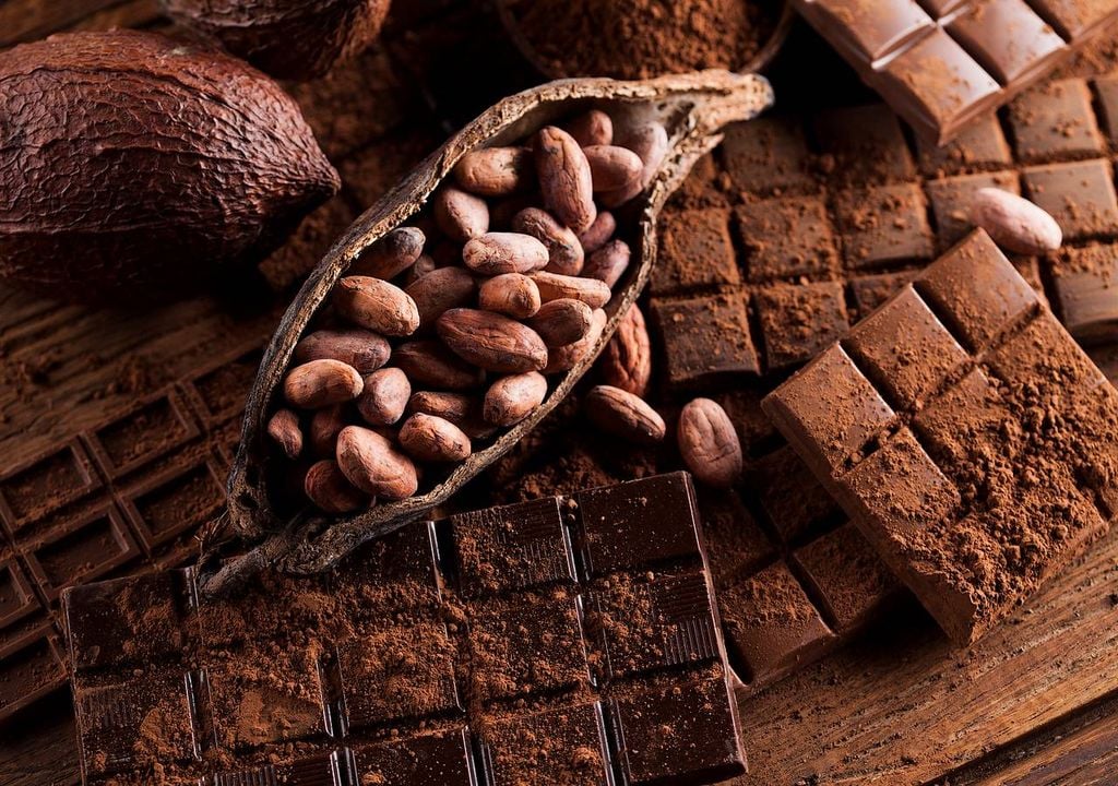 Cacao y chocolate