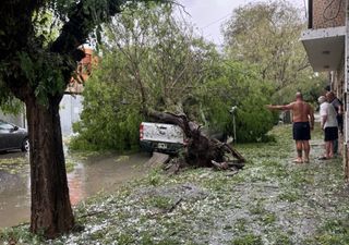 Fuerte temporal de viento y granizo de gran tamaño generó graves daños en Bahía Blanca