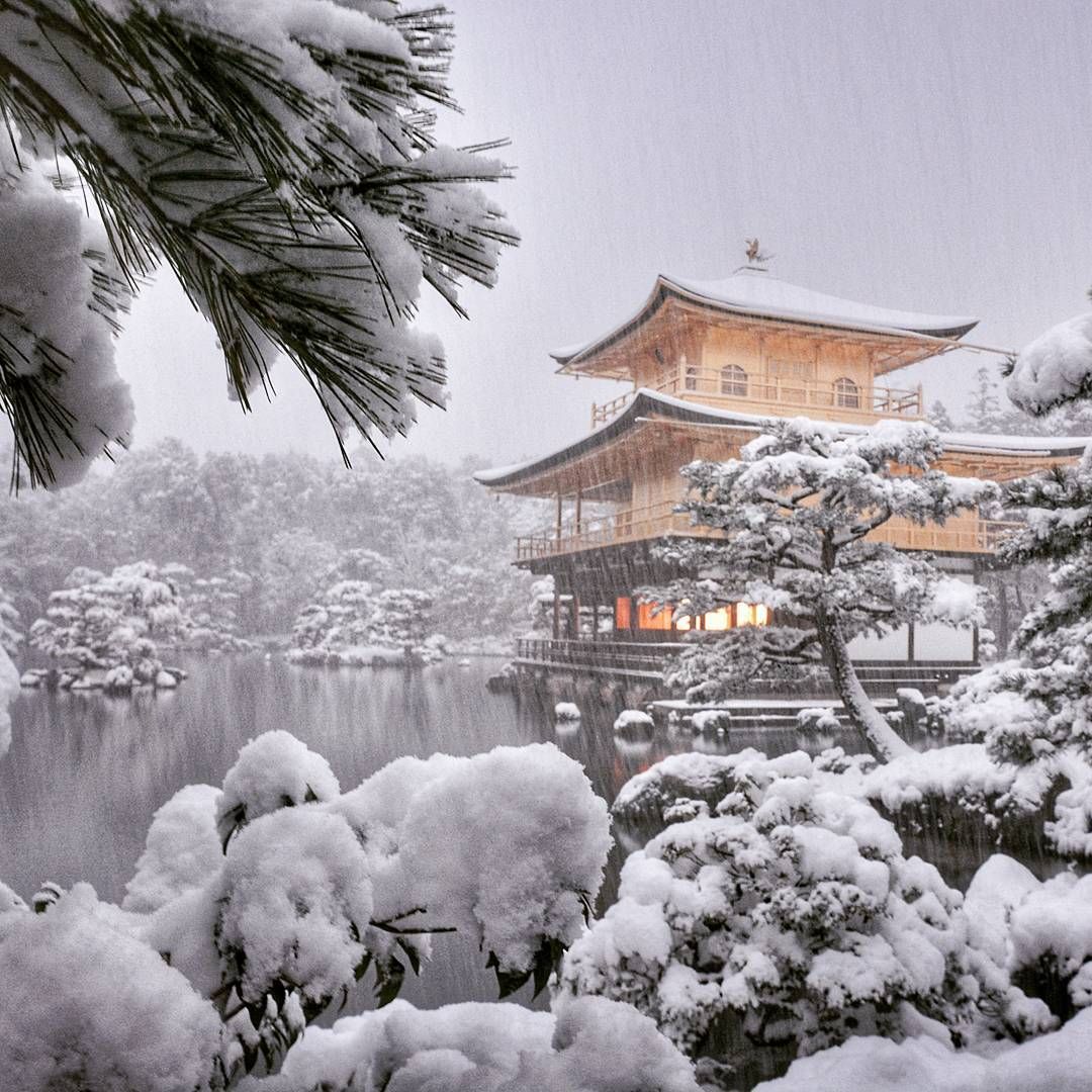 Бывают ли зимние. Киото онсэн зимой. Дайгодзи Киото. Сеул Южная Корея природа зима. Йокогама Япония зима.