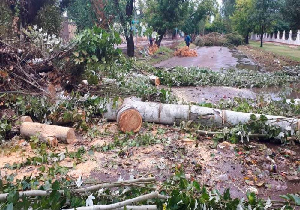 Mendoza Tormenta Granizo