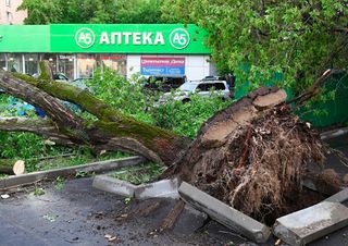 Fuertes vientos en Madrid causan alarma en la población