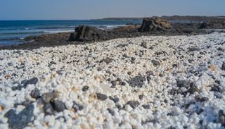 Fuerteventura guarda una playa que parece salida de una pel&iacute;cula: el origen de sus curiosas "palomitas" blancas
