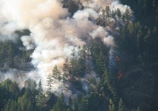 Fumaça de incêndios na Sibéria se movem pelo Hemisfério Norte