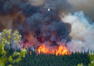 Wildfires in Canada: enormous cloud of smoke arrives in Europe