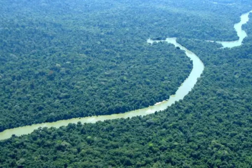 O TFFF visa mobilizar aproximadamente US$ 125 bilhões em recursos ao longo do tempo. Crédito: Acervo MMA / Perfil Brasil O TFFF visa mobilizar aproximadamente US$ 125 bilhões em recursos ao longo do tempo. Crédito: Acervo MMA / Perfil Brasil