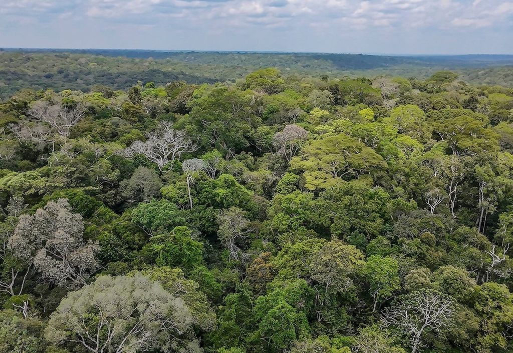 Floresta Amazônica, maior Floresta tropical do mundo. Foto: Audiovisual/G20 Floresta Amazônica, maior Floresta tropical do mundo. Foto: Audiovisual/G20