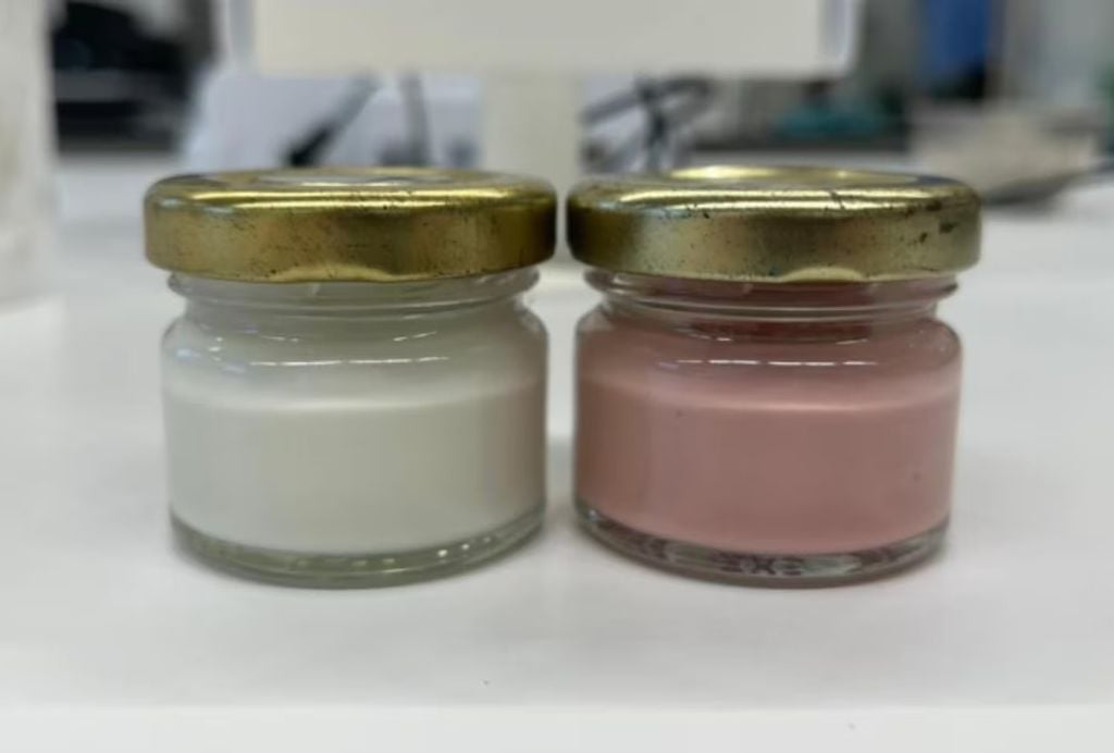 Fungo da Amazônia gera corante natural seguro para cosméticos. Crédito: Juliana Barone Teixeira/FCFAr-Unesp