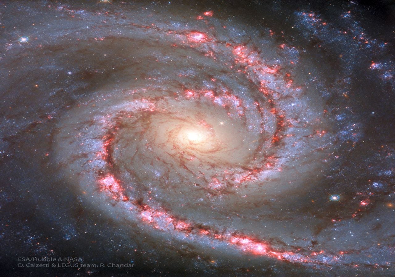 Imagen de la galaxia NGC 1566. Crédito de imagen: ESA/Hubble y NASA, D. Calzetti y el equipo LEGUS, R. Chandar