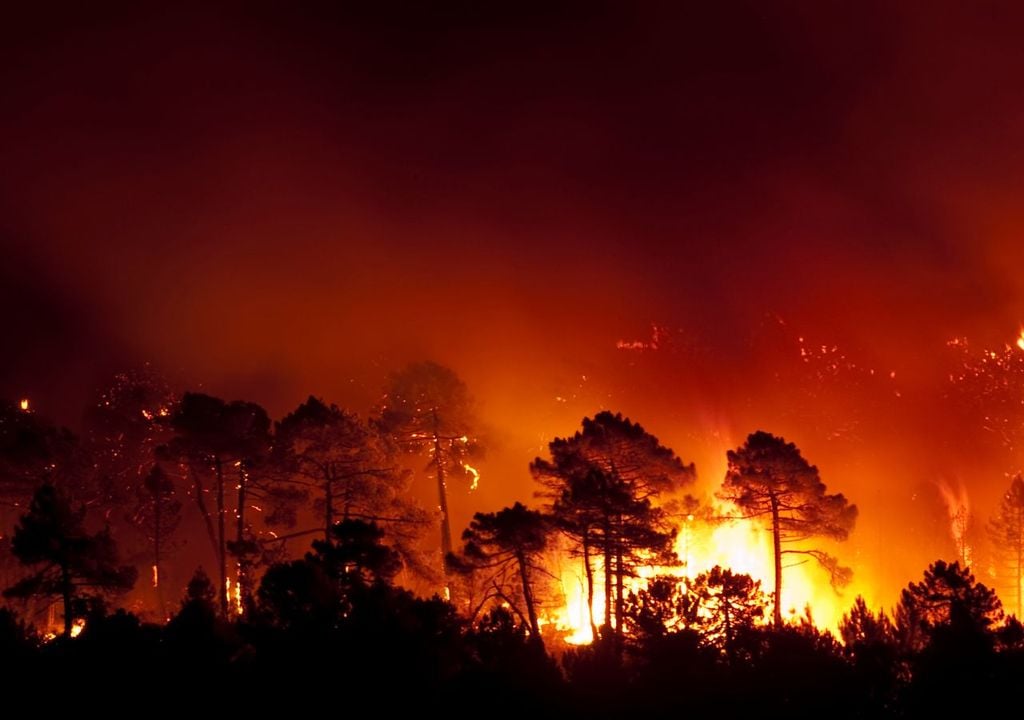 Incendio forestal Incendio forestal