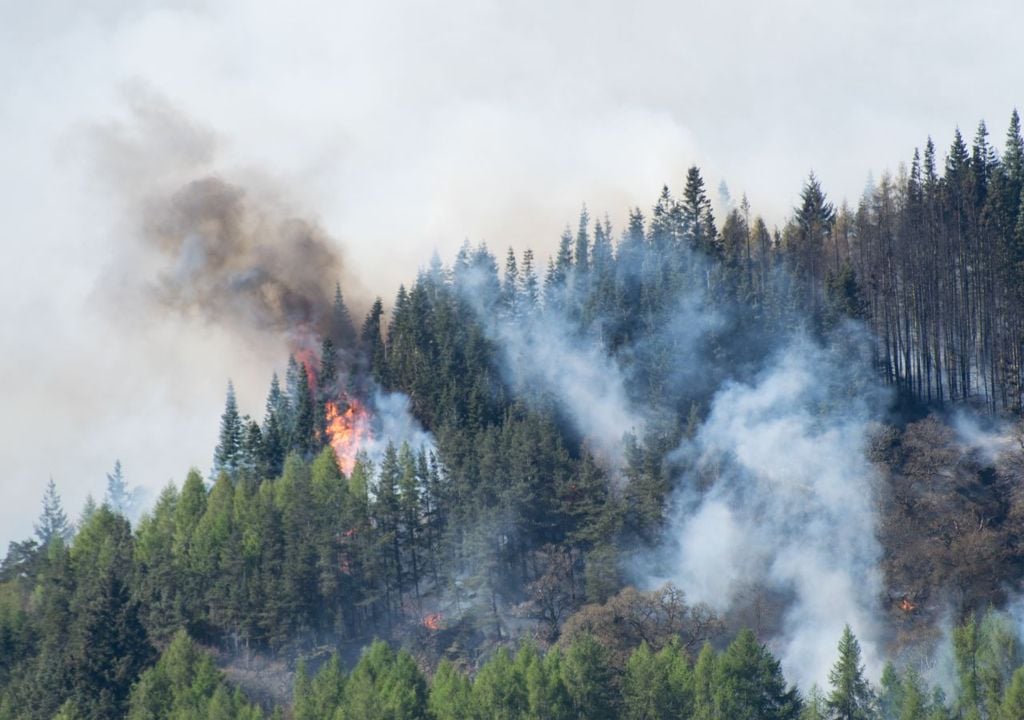 Incendio forestal Incendio forestal