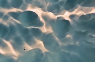 Ganadores del concurso fotográfico de Weatherwise 2016