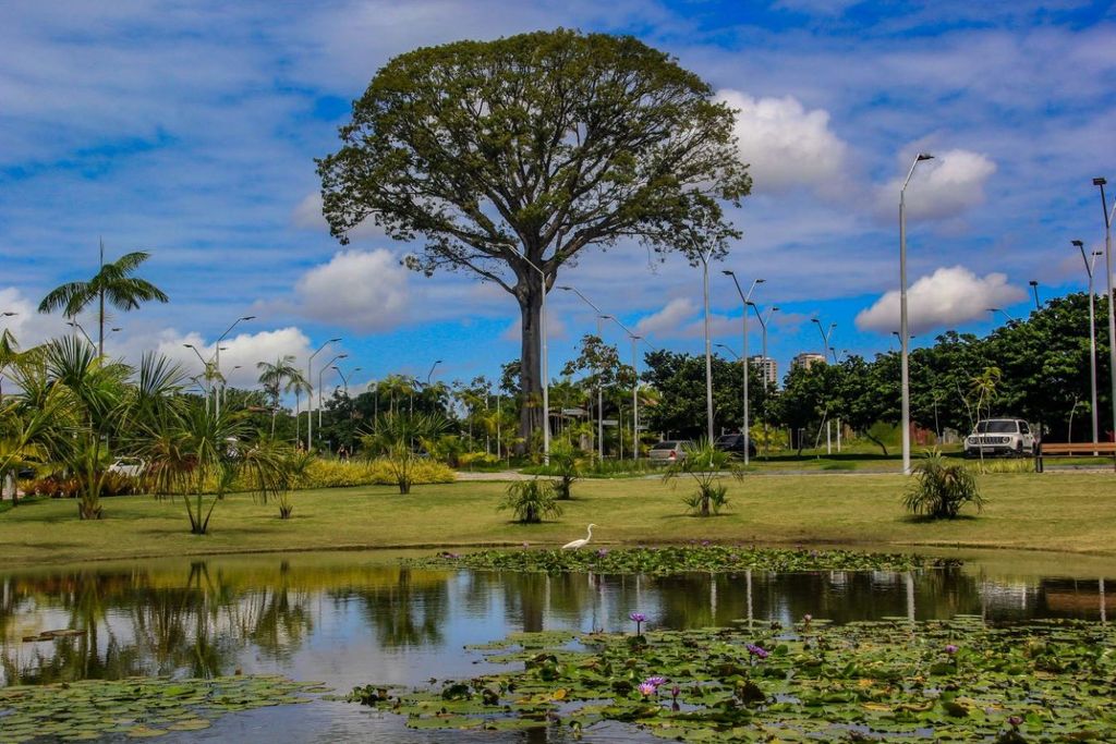 Parque do Utinga