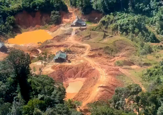 La extracci��n ilegal de oro aumenta las emisiones de carbono y eleva la concentración de mercurio en el suelo