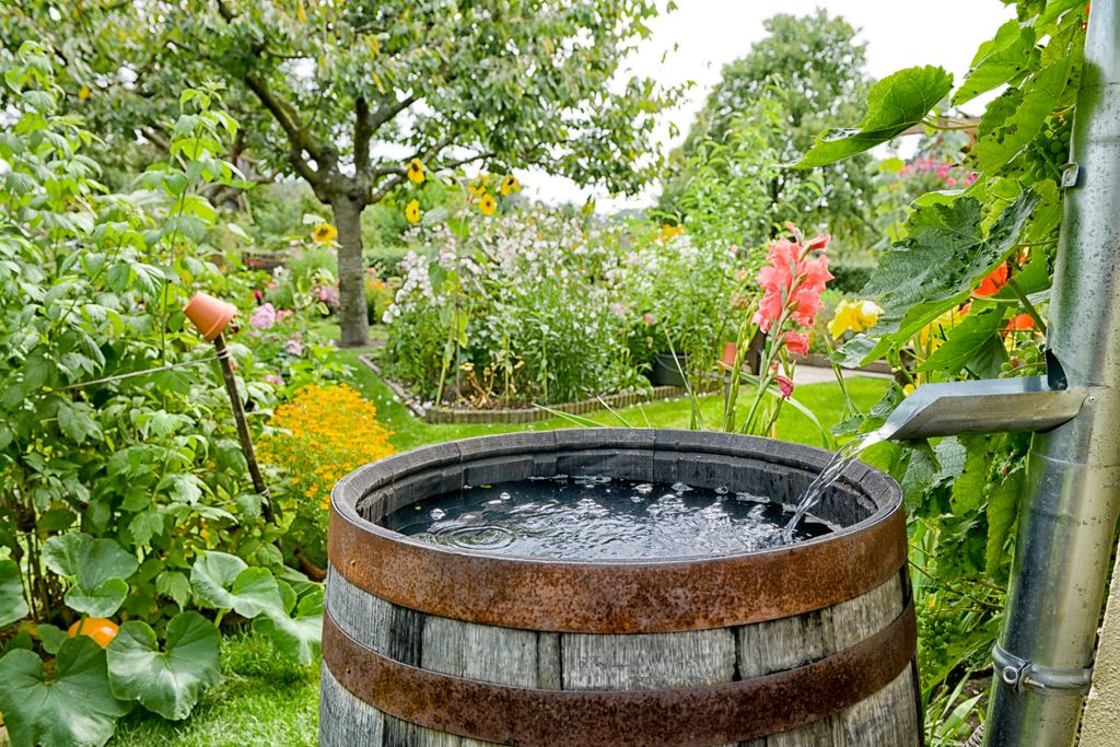 Regenwasser, Recycling, Regentonne