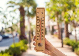 Deutsche Gärten müssen südländischer werden! Klimawandel stellt den Garten, inkl. Gärtner vor große Herausforderungen!