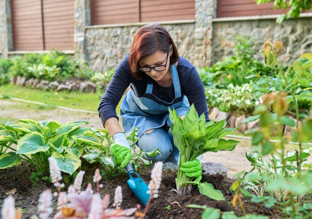 mai, garten, arbeiten mai, garten, arbeiten