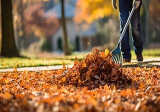 Gartenarbeiten im Oktober: Vorbereitung auf den Winter!