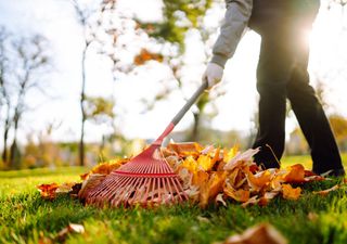 Gartenarbeiten im Herbst! Was ist zu tun? Sind schon erste Wintervorbereitungen notwendig? 