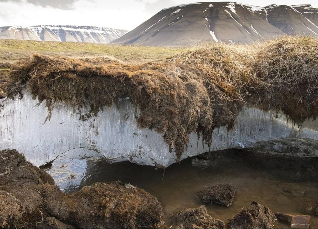 permafrost, Hemisfério Norte, Ártico