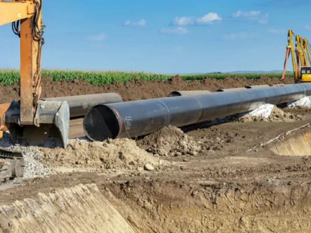 Gasoducto “Puerta del Sureste”: ¿Sentencia de muerte para la rica biodiversidad marina y terrestre de Veracruz? – Meteored