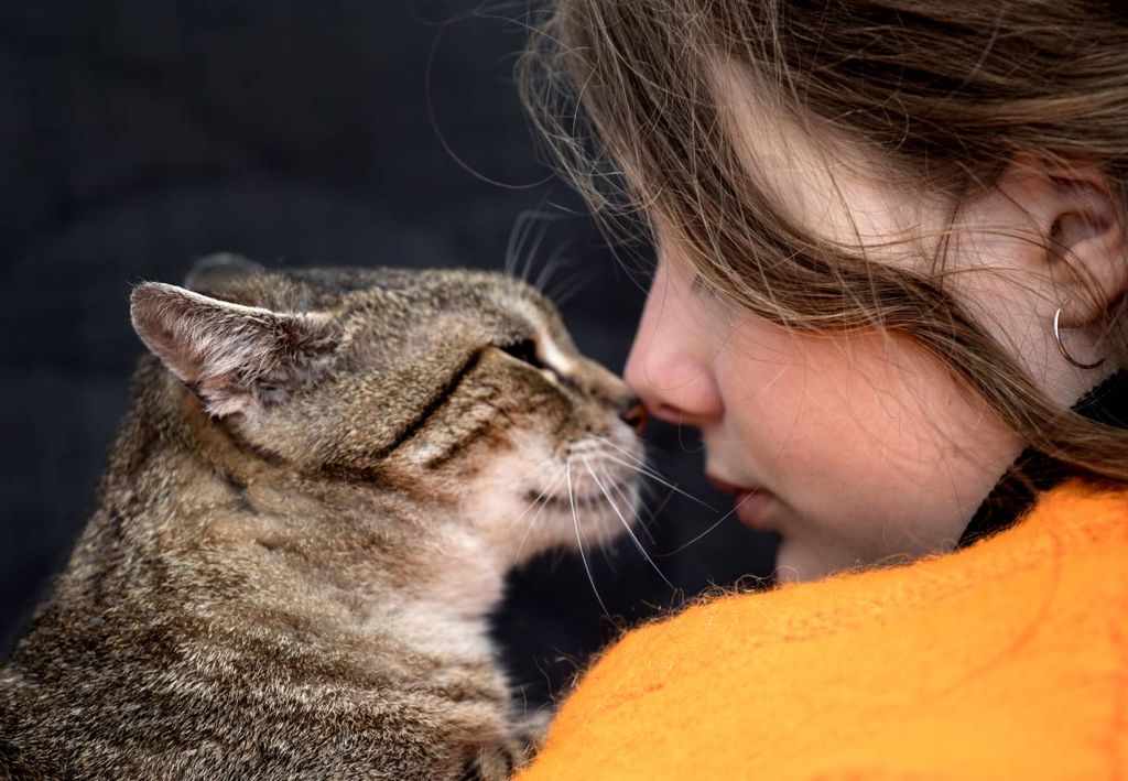 gato e sua dona