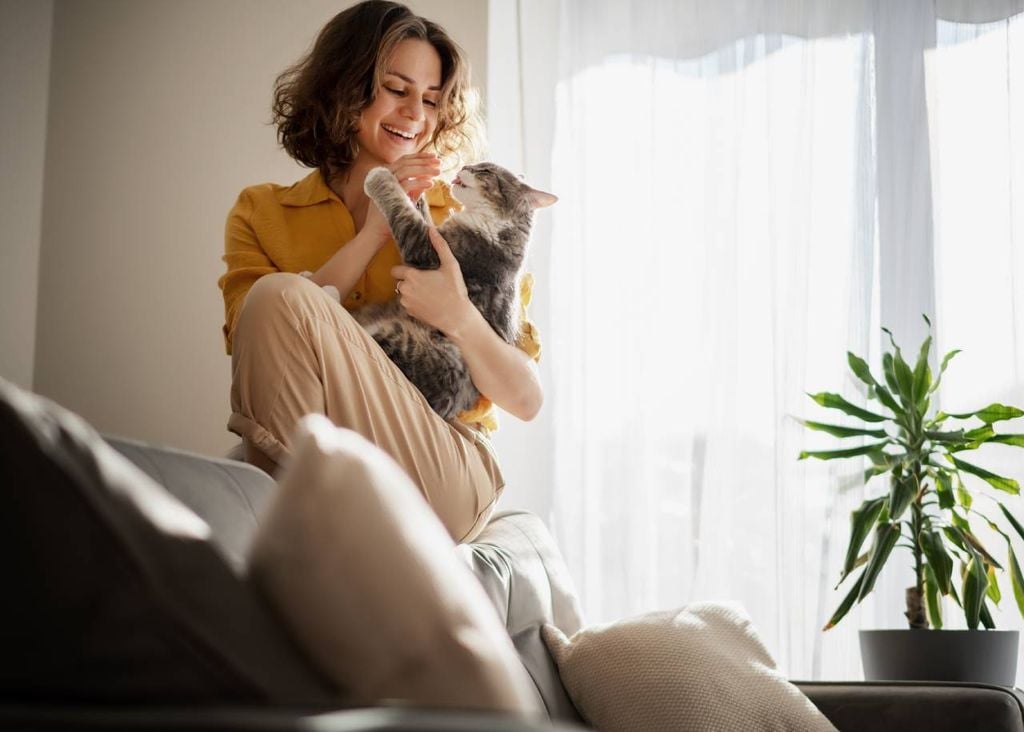 gato e sua dona gato e sua dona
