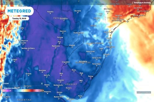Geadas no Sul: frio acende alerta para produtores de feij&atilde;o na qualidade dos gr&atilde;os