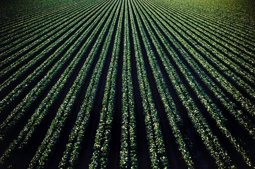 Geada E Noite - Sara Raasch | Livro Resumido