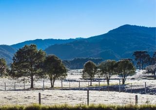 Geadas e temperaturas negativas podem ser registradas nesta ter&ccedil;a-feira, 28