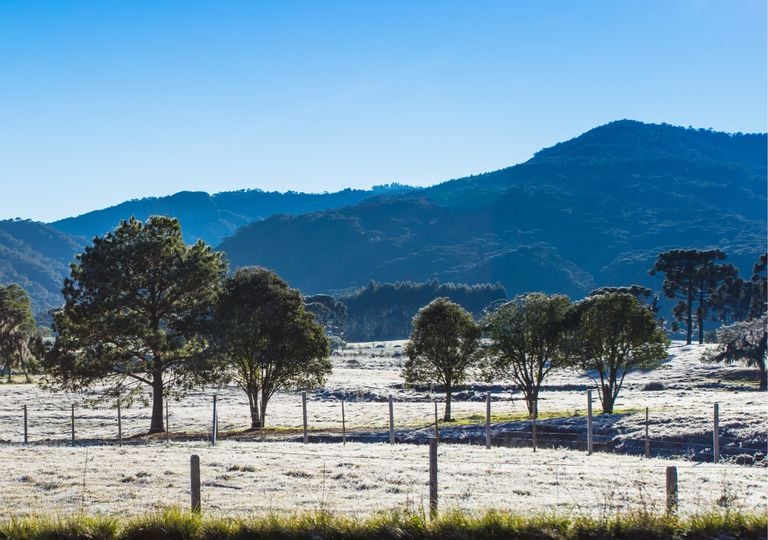 Geadas e temperaturas negativas podem ser registradas nesta ter&ccedil;a-feira, 28