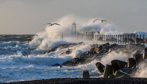Gefahr an Nord- und Ostsee: Wie neue Messger&auml;te Tsunamis an deutschen K&uuml;sten aufsp&uuml;ren
