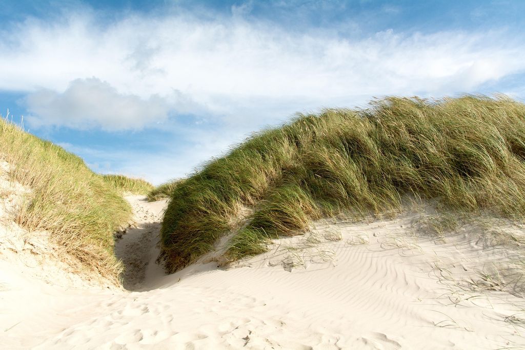 Küste Mecklenburg Menschenleere Dünen am Küstenabschnitt zwischen Priwall und dem Ostseebad Boltenhagen. Foto: Pixabay