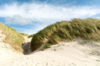 Geheimtipp f&uuml;r Natur-Fans: Dieses traumhafte St&uuml;ck Ostseek&uuml;ste trotzt dem Tourismus-Boom