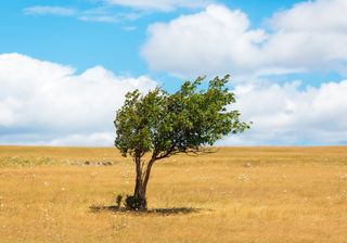Geht der Sommer 2018 bis September weiter?