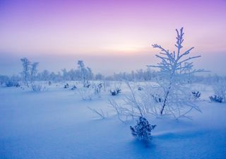 Gelo sempre più intenso in Siberia, sfondato il muro dei -40°C