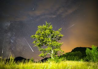 Geminids meteor shower peaks spectacularly this December