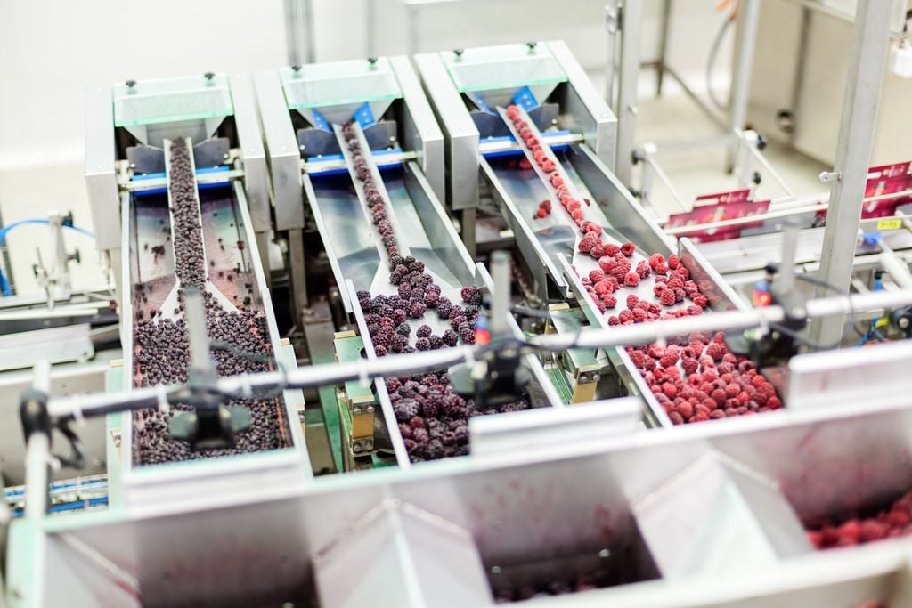 alimentos alimentos