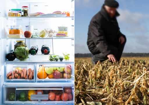 Gemma del Ca&ntilde;o destripa tu nevera: as&iacute; ha modificado el cambio clim&aacute;tico la composici&oacute;n de los alimentos