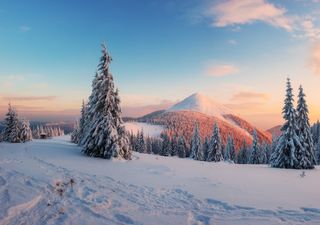 Gennaio 2022, possibilità di importanti ondate di freddo?