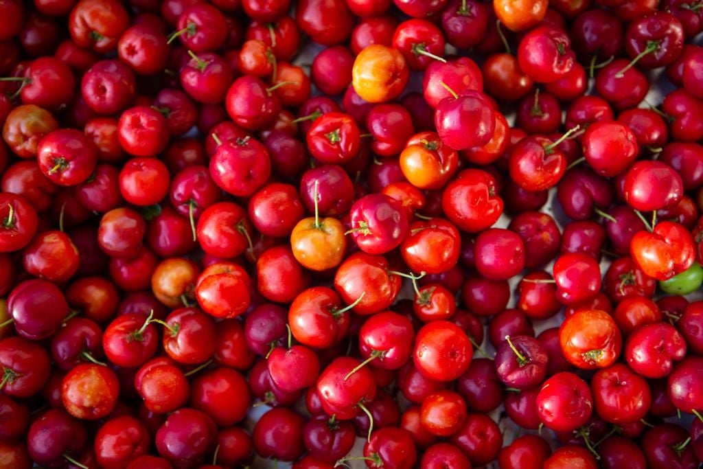 Laranja, limao, acerola, fruiticultura Laranja, limao, acerola, fruiticultura