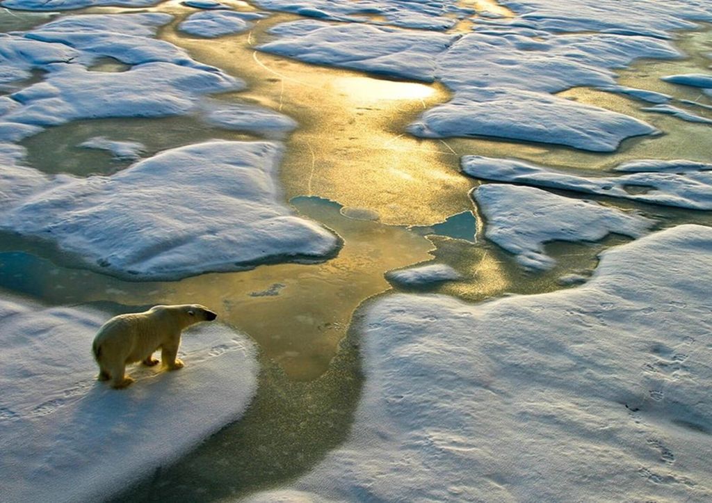 Artico termometro clima