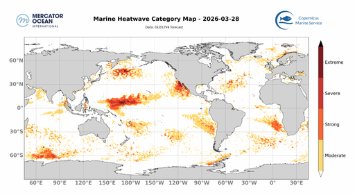 La geoingenier&iacute;a solar podr&iacute;a proteger hasta el 75% de los oc&eacute;anos de las olas de calor marinas con "peros"