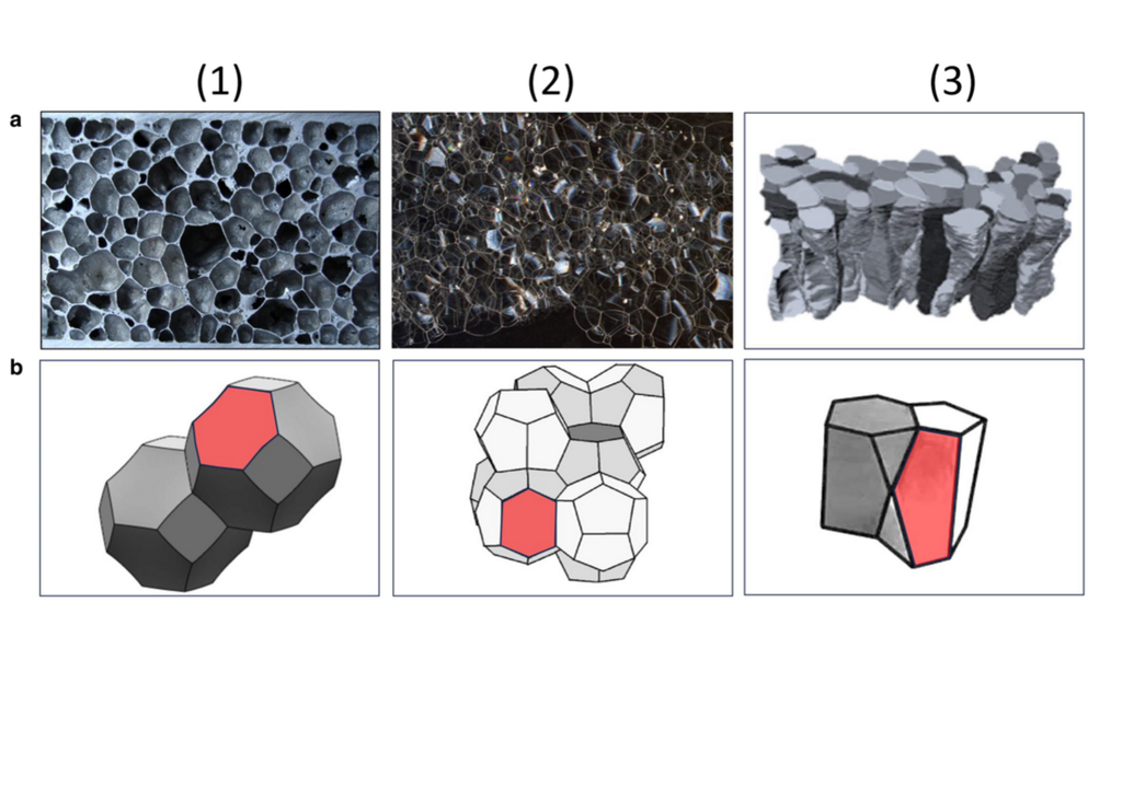 Leicht gekrümmte polyedrische Parkettierungen