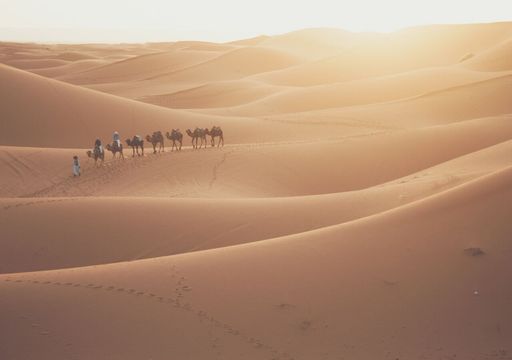 Geschichte der Sahara: Neue Studie enth&uuml;llt abrupte Klimaschwankungen &uuml;ber 10.800 Jahre hinweg