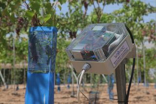 Gestionando el agua de riego inteligentemente