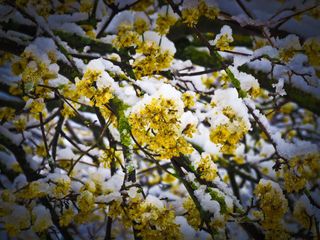 Wintereinbruch mit Schnee und Kälte!