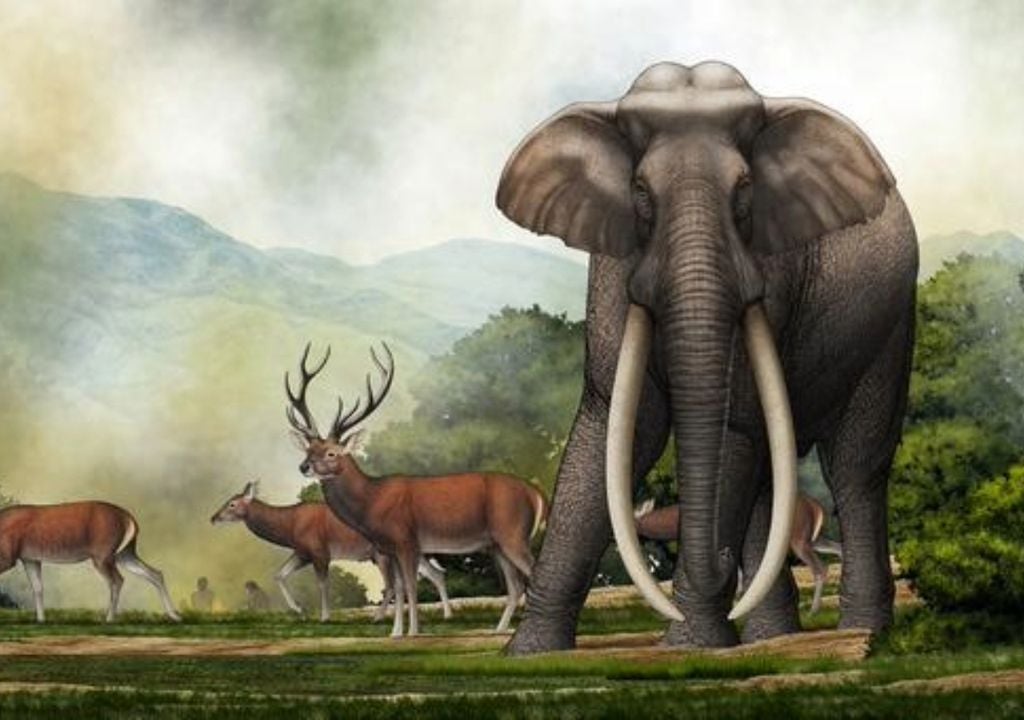 imagen artística de un gran elefante