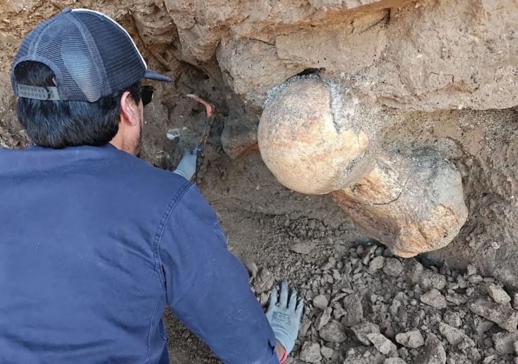 Trabajos para desenterrar el fósil del fémur perteneciente a un Megatherium americanum. Crédito: Museo Lorenzo Scaglia.