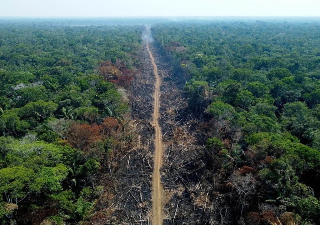 Desmatamento na Amazônia Desmatamento na Amazônia
